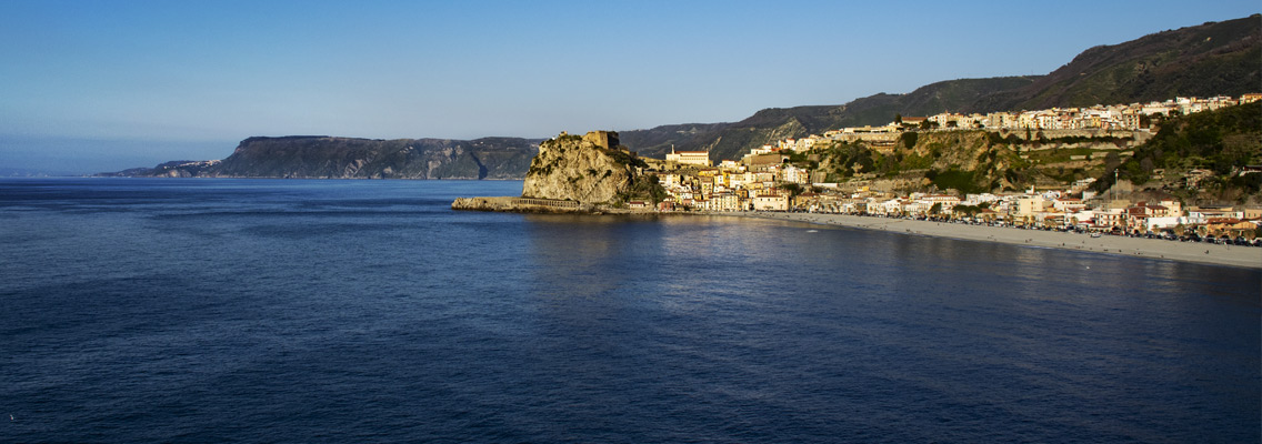 scilla.jpg