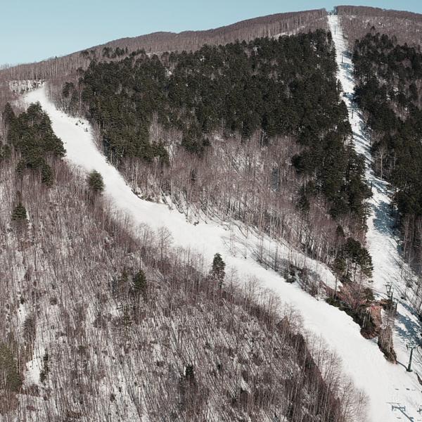 Nino Martino Ski Slope